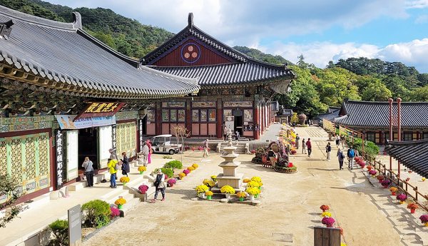 경남 합천 해인사의 전각과 산자락