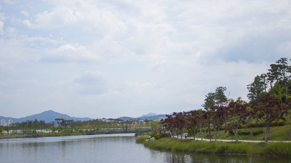 세종호수공원의 호수와 산책 공간